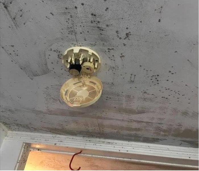 mold on ceiling, smoke detector opened