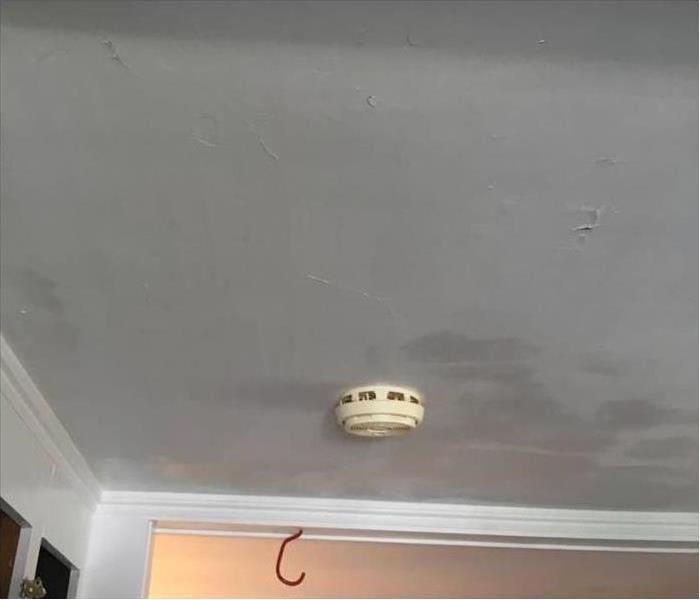 mold removed, slight marks on ceiling needs painting