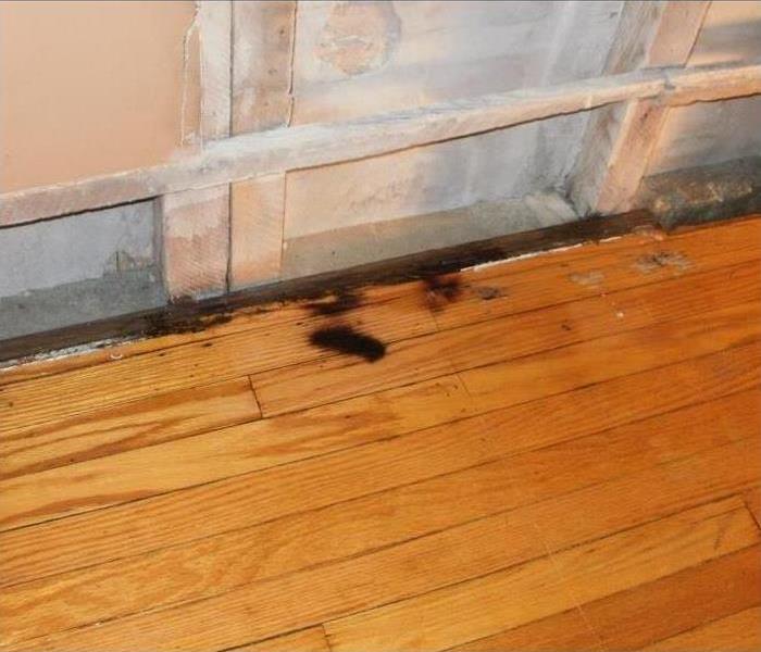 removed carpet, black burn marks, removed sheetrock wall showing framing