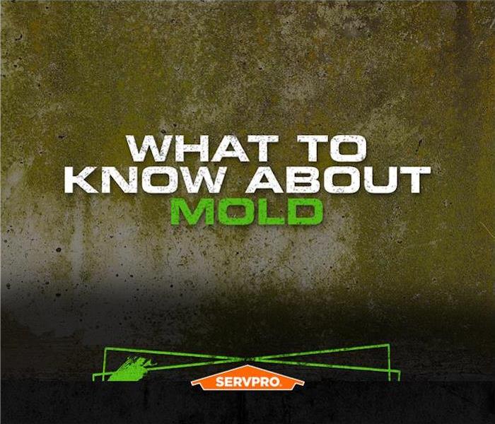 what to know about mold SERVPRO poster